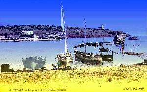 Tipaza - La plage